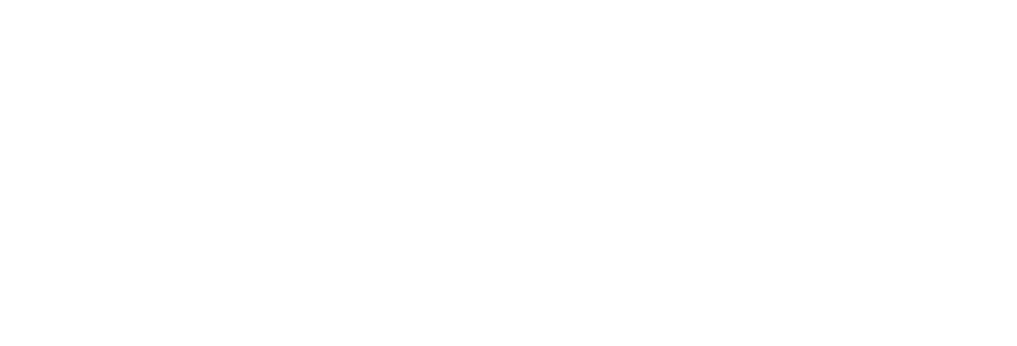 Vizon Realty Logo